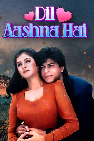  Dil Aashna Hai (1992) HDRip Hindi Full Movie 480p [400MB] | 720p [1.4GB] | 1080p [4GB]