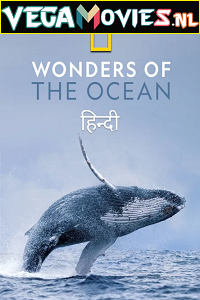  Wonders of the Ocean (2021) Season 1 Hindi Complete DSNP WEB Series 480p | 720p HDRip